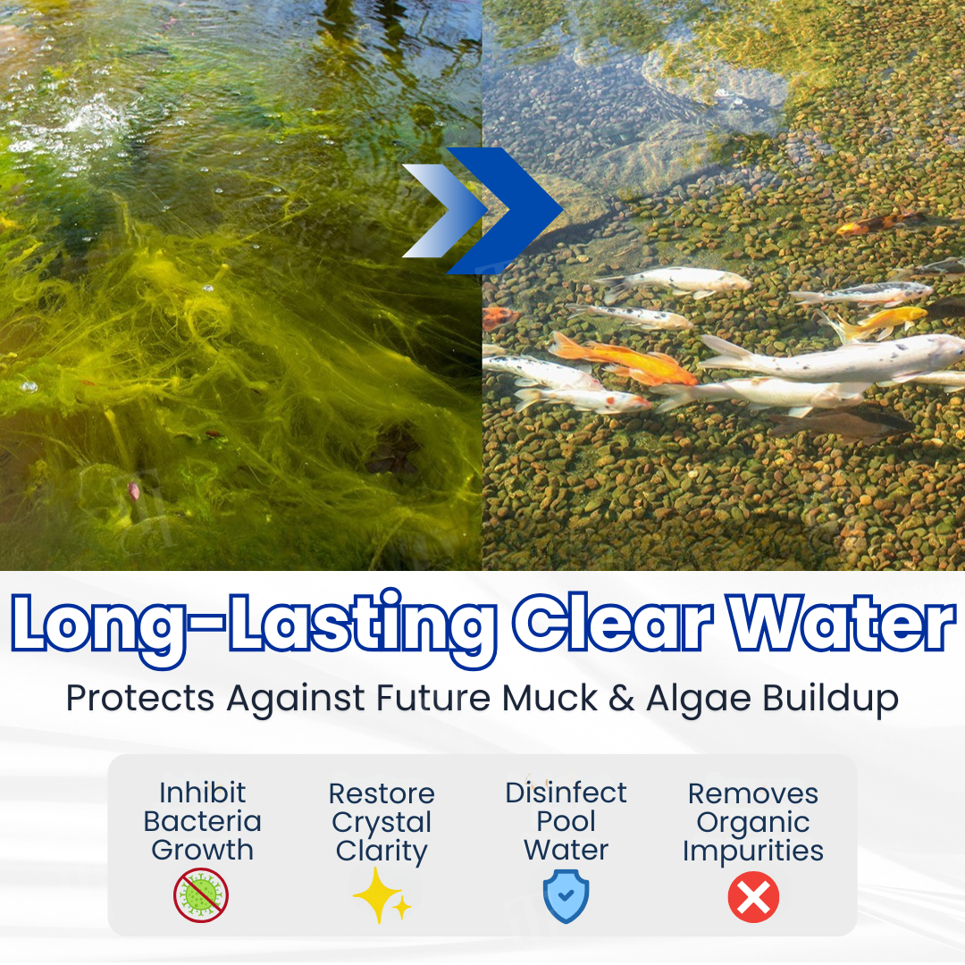 ✨ From Green to Clean Overnight! |⏱️ Crystal Clear in 24 Hours! | AEXZR® Aqua-Guardian Pro Formula